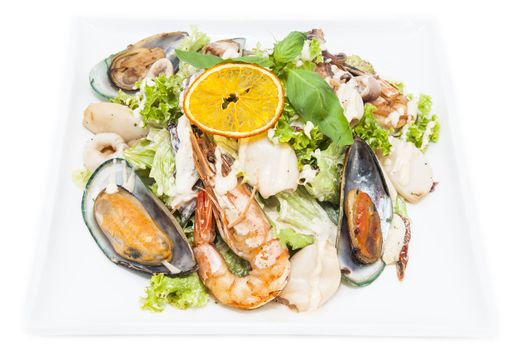 seafood salad on a white background