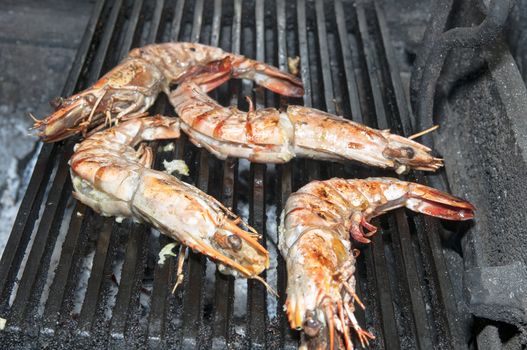 cooking shrimp on the grill