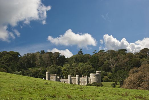 A Nineteenth Century Country House built in the Style of a castle with woodland under a blue sky