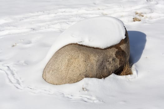 snow and rock in the background