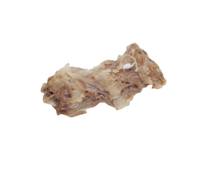 bones of the hen 