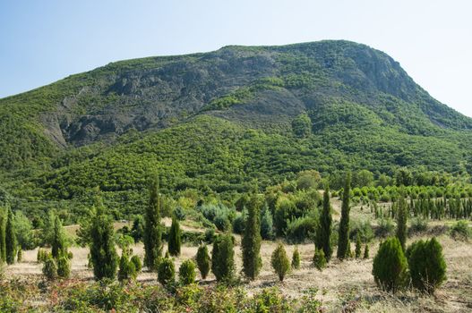 Mountain Crimea in Ukraine tops of the mountains against the sky