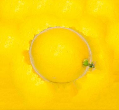 Abstract background with citrus-fruit of lemon slices