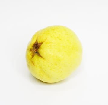 Quince (golden apple) isolated on white background 