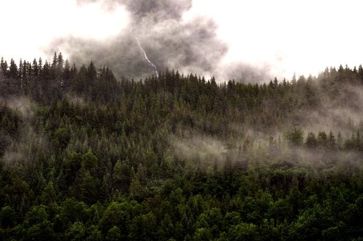 Juneau Mountainside
