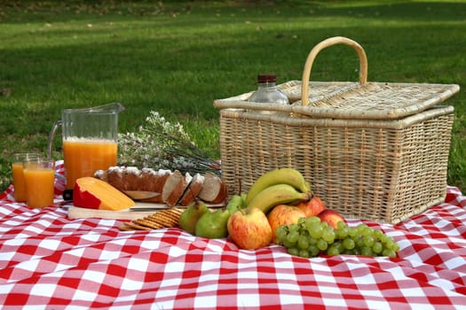 Sumptuous picnic spread out on a red and white checked cloth with wicker basket