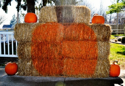 Pumpkins and hay