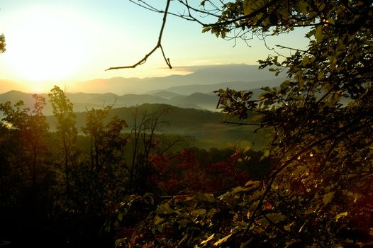 Through the trees into the mountains