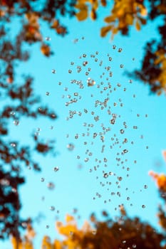  drops in the sky as a backdrop
