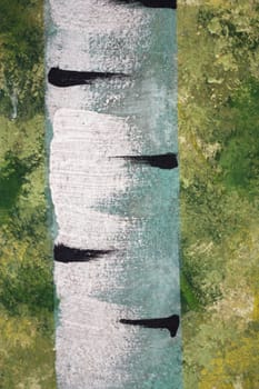 Close up of the birch trunk located on a birchwood background 