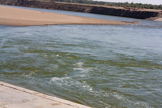 Riverside grass blowing on Syr Darya river, Kazakhstan 