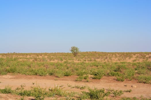 steppe in Kazakhstan