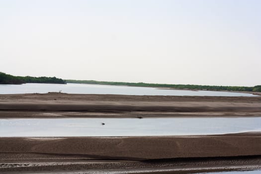 Riverside grass blowing on Syr Darya river, Kazakhstan 