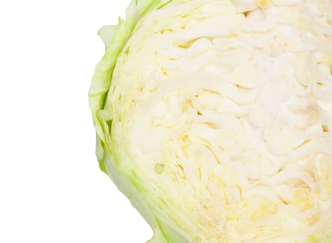 cabbage background 