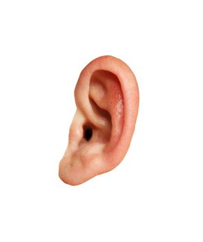 Closeup of a human ear on white background