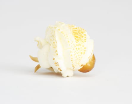 popcorn. Macro