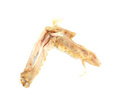 bone of the chicken