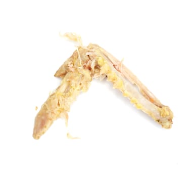 bone of the chicken