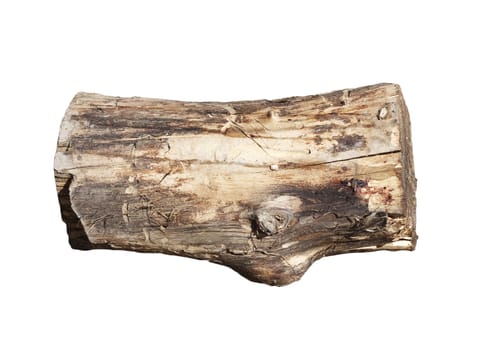 log on white, shallow depth of field 