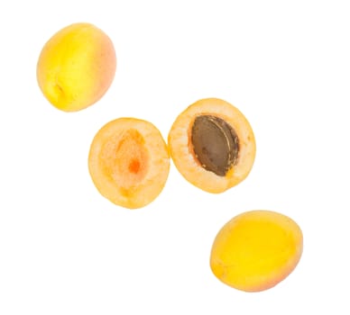 Apricot on white background