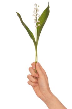 Woman holding lily of the valley in the hand