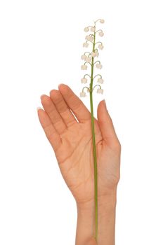 Woman holding lily of the valley in the hand