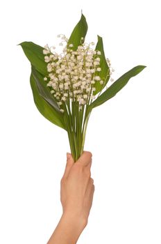 Woman holding lily of the valley in the hand