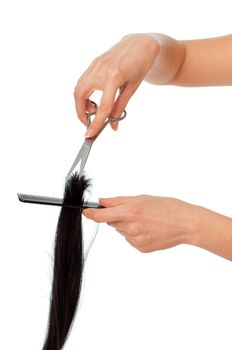 hairdresser cutting young woman with long black hair