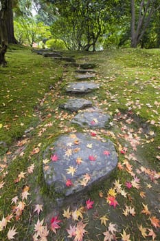 Fallen Japanese Maple Tree Leaves on Stone Steps and Moss in Autumn