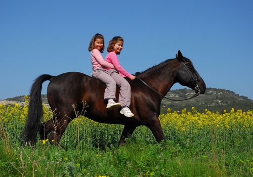 twins sisters horseback riding a black stallion