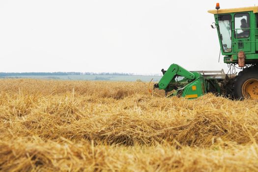 Combine harvester on field of wheat in the early autumn