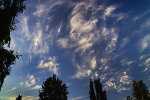 Fair Weather Clouds on a Sunny Day Resembling a Van Gogh Like Painting Taken at Juanita Beach, Kirkland, Washington