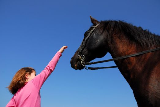 young girl and her best friend black stallion