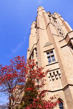 Yale University Sheffield Scientific School Building Ornate Victorian Tower Flowering Dogwood New Haven Connecticut