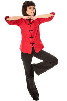 woman in Chinese dress standing in martial Arts pose