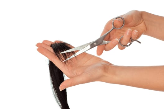 hairdresser cutting young woman with long black hair
