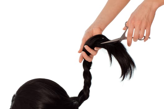 hairdresser cutting young woman with long black hair