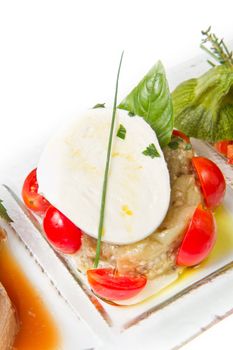 mozzarella with tomatoes appetizer