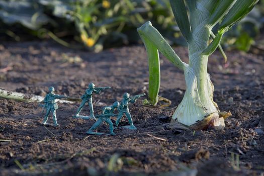Green army toy soldier attacking an onion in the garden