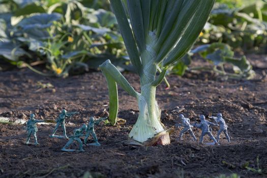 gray and green toy soldier fighting for a onion in a garden