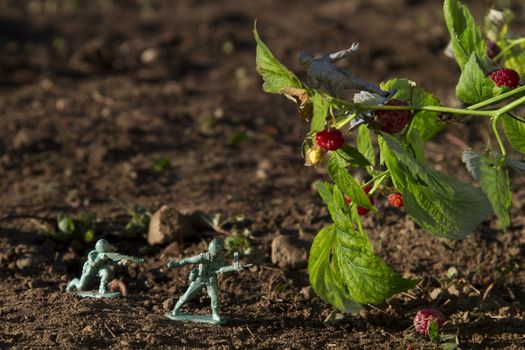 two green toy soldier fighting with a gray soldier for raspberry
