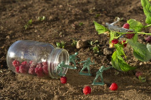 four green toy soldier protecting a jar of raspberry against a gray soldier