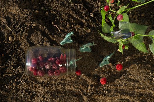 aerial view of four green toy soldier protecting a jar of raspberry against a gray soldier
