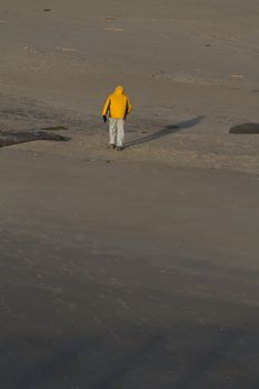 Person walking on a beach wearing a yellow winter coat