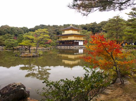 Kinkakuji Temple or The Golden Pavilion temple in autumn, Kyoto, Japan.