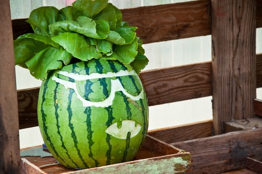 art on watermelon