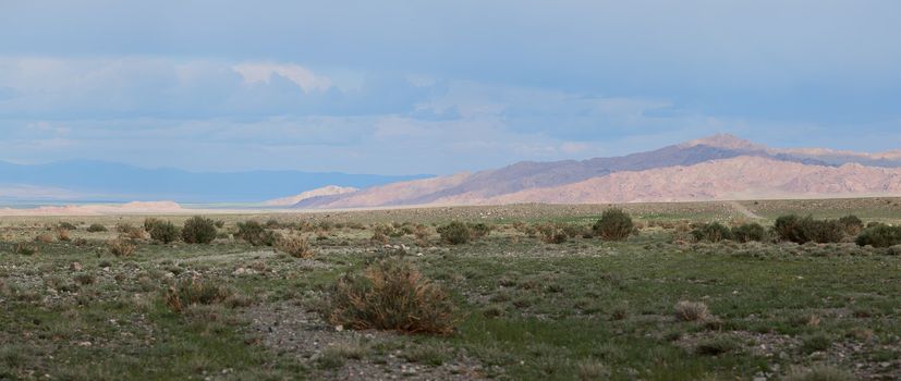 Altai mountains. Beautiful highland landscape. Mongolia