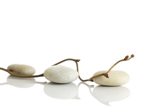 Spa stones and dry hazel branches, isolated on white background.