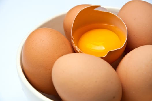 eggs