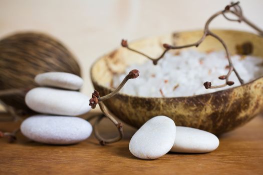 Spa stones, sea salt and dry hazel branches.